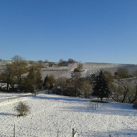 דירות הטנהיים Weingut Hans Bausch מראה חיצוני תמונה